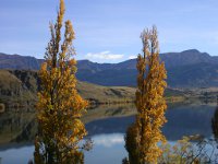 四季折々の美しいヘイズ湖の黄葉