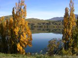 黄葉の美しいヘイズ湖